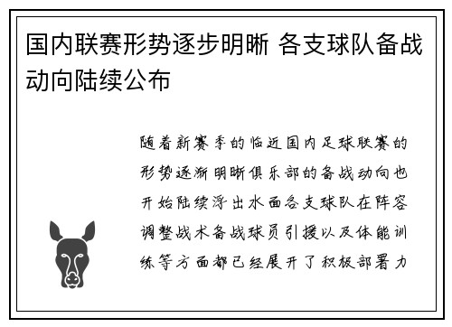 国内联赛形势逐步明晰 各支球队备战动向陆续公布